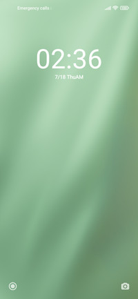 Green Curtains
