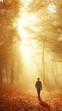 In november the years are peaceful
