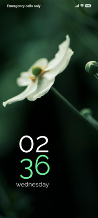 Pure Blossom