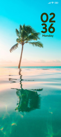 Beach Tree