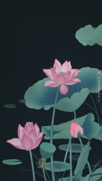 荷小花