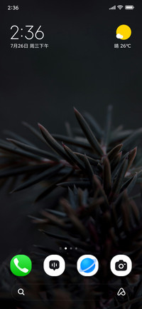 Pine Details