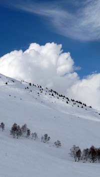 冬季自然雪景