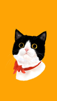 请不要“以毛取猫”！