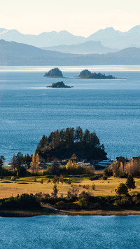 Landscape vegetation