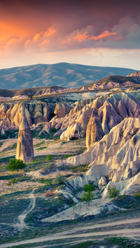 Romantic Turkey