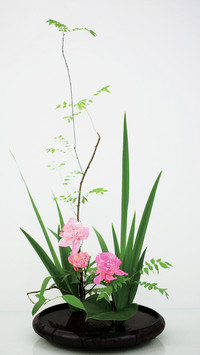 花艺禅说