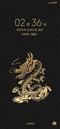 轻奢龙纹