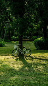 The scenery on the bike ride is picturesque