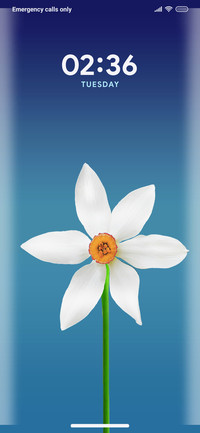 Petals_3MDP