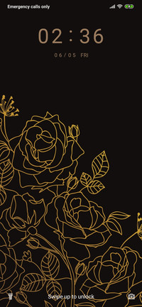 GoldenRoses_3MDP