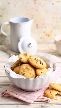 Cranberry cookies zero failure 29
