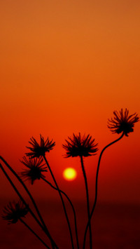 Untitled design (3)