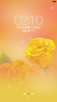 黄玫瑰