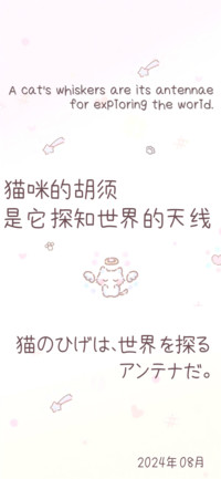 灵动笔触猫猫体