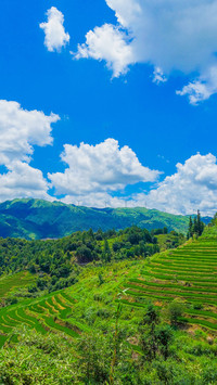 Scenery  (5)
