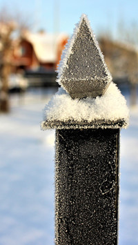First frost (19)
