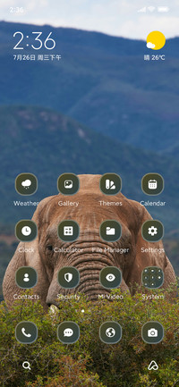 Elephant