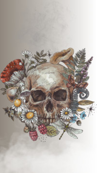 Skull taken over by nature