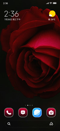 Single Red Rose