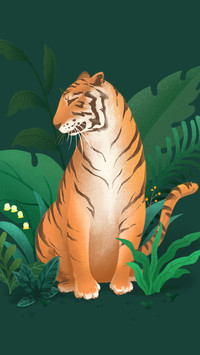 How powerful is a tiger's tongue