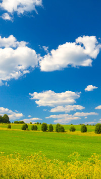 Field landscape