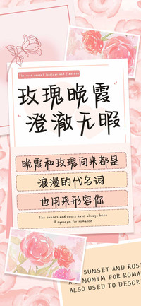 玫瑰晚霞澄澈无暇