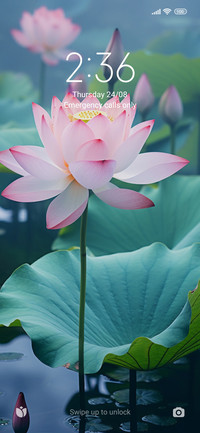 Lotus