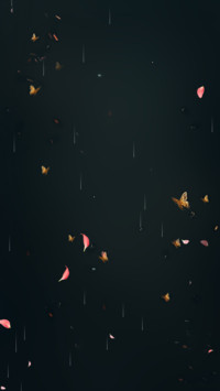 暗夜·醉玲珑