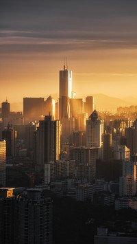 Dawn City Light 8