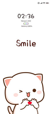 Miss peach cat