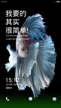 你是短暂的花朵② 【评论反专辑+返现】