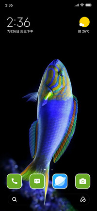 Fish