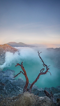 Chinese tourists fall and die in indonesia