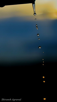 Shivansh Agarwal 1