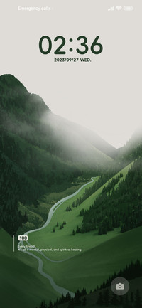 Cloud Forest