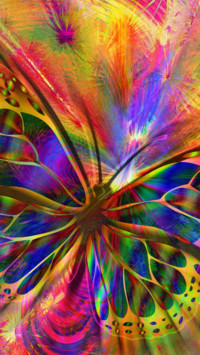Butterfly (2)