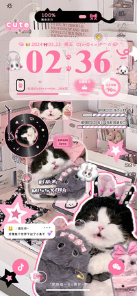 猫猫贴纸 星星猫仔