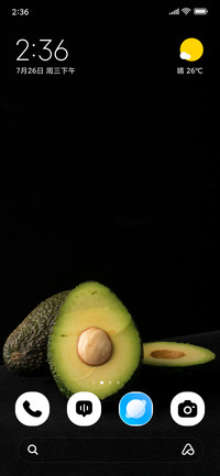 Avocado Fresh
