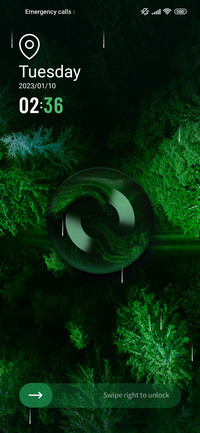 Forest frontline