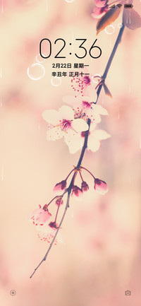 桃花灼灼