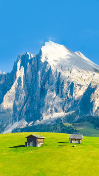 View on Sassolungo from Saiser Alm