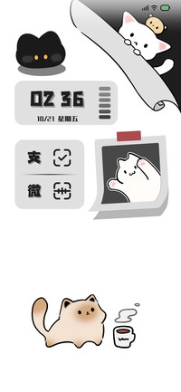 找到猫猫