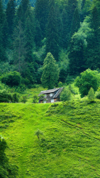 Environment Day (12)