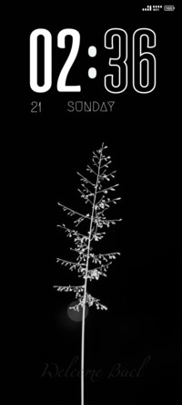 White Flower