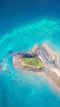 The little pig island that only appeared at low tide