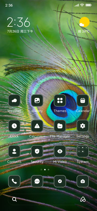 Peacock Feather
