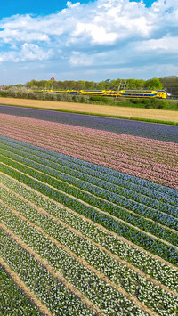international_scenery (11)