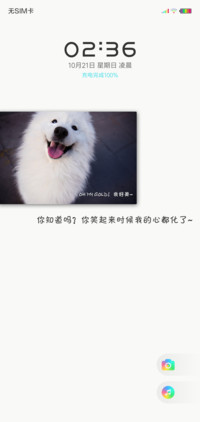 萨小傻