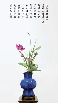 愿君及此荷花鲜